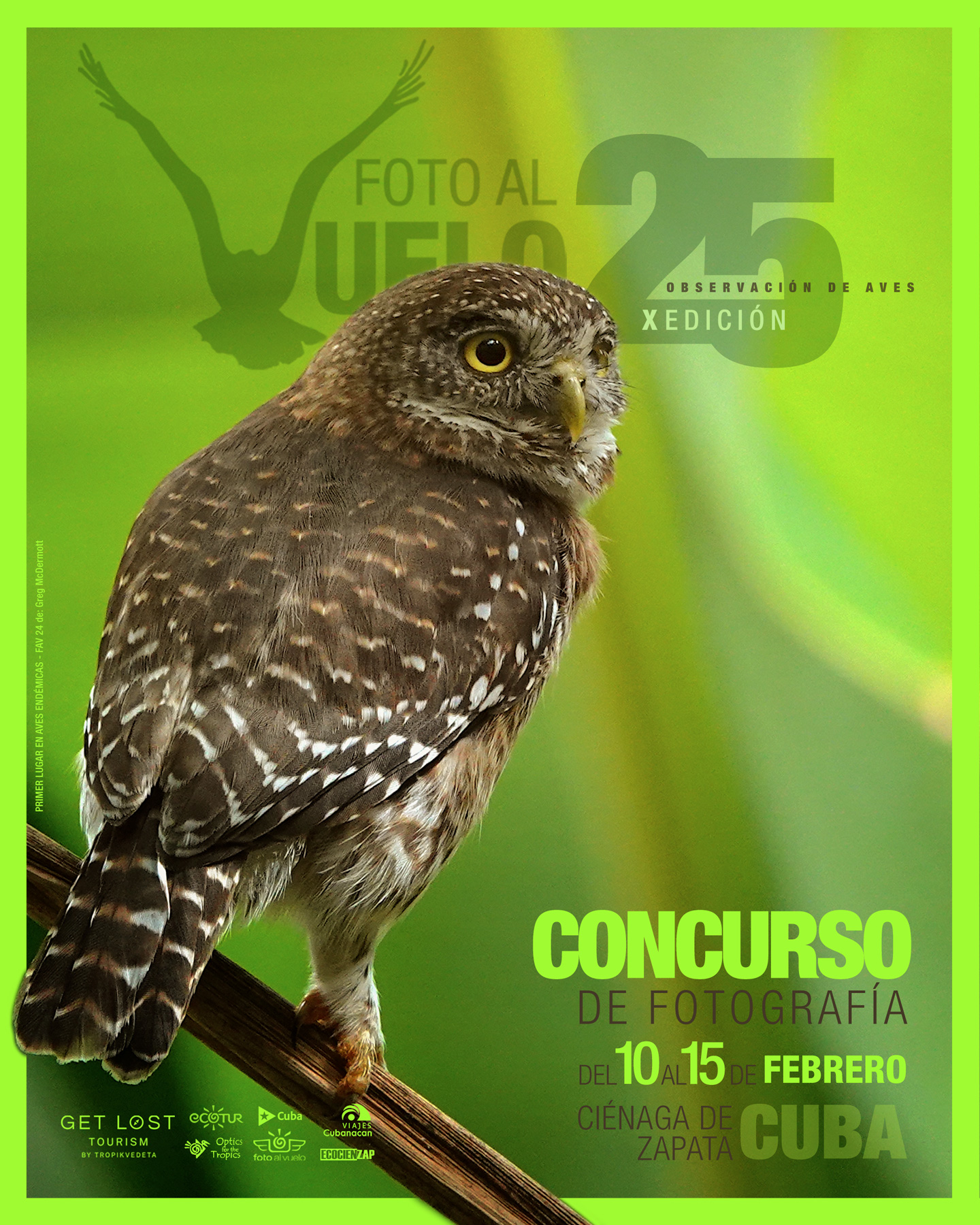 Foto al Vuelo: del 10 al 15 de febrero de 2025